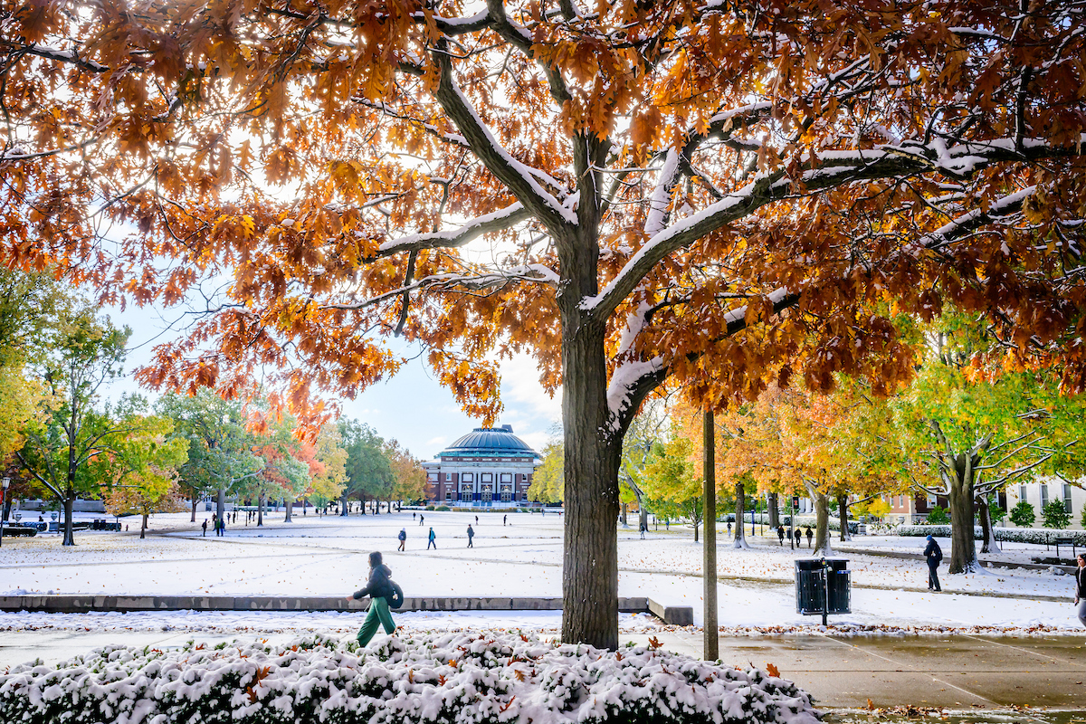 Site Header Image